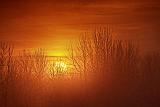 Foggy Sunrise_31809